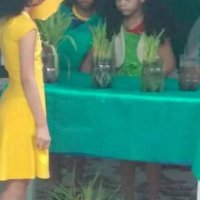 I Feira de Ciências-179