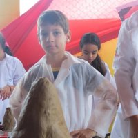 I Feira de Ciências-187